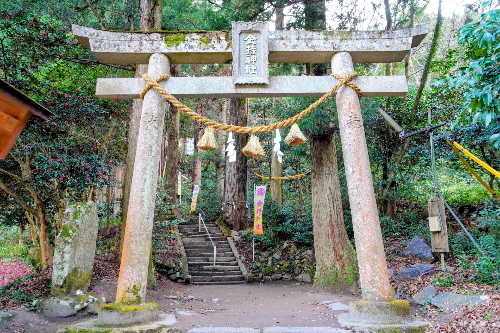 金運神社で正しい参拝を行う方法と願いを届けるためのマナー