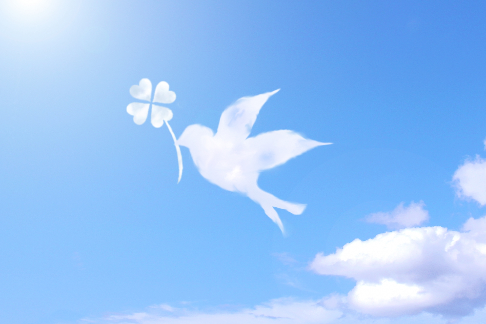 空を飛ぶ白い鳥をイメージした、幸運と浄化を象徴する写真