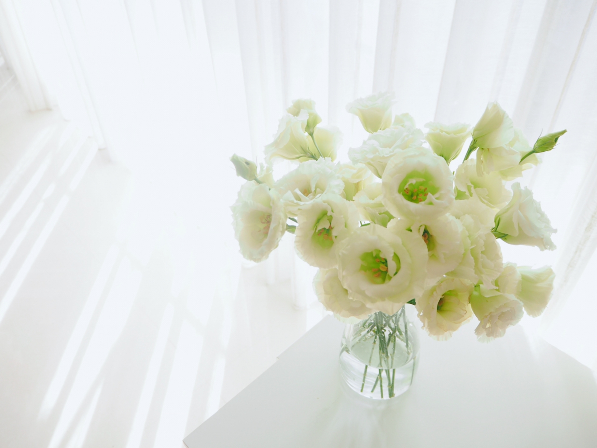 波動を整える朝の光と香りでリラックスする女性の写真