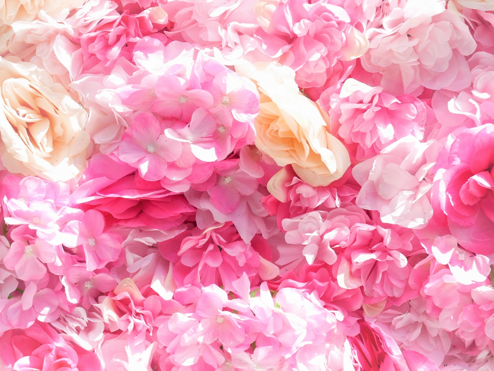 ピンクの花びらが重なり合う、優しく華やかな恋愛イメージの写真