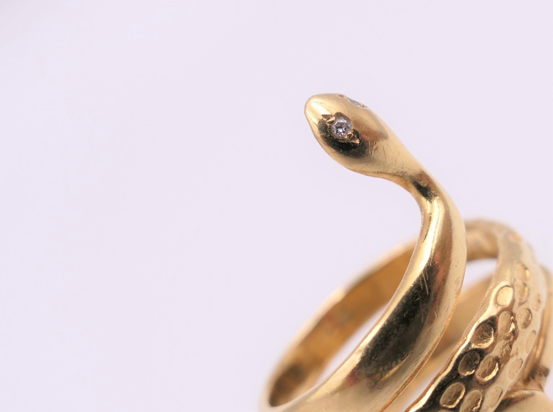 蛇の夢のスピリチュアルな意味と金運上昇を表すイメージ写真