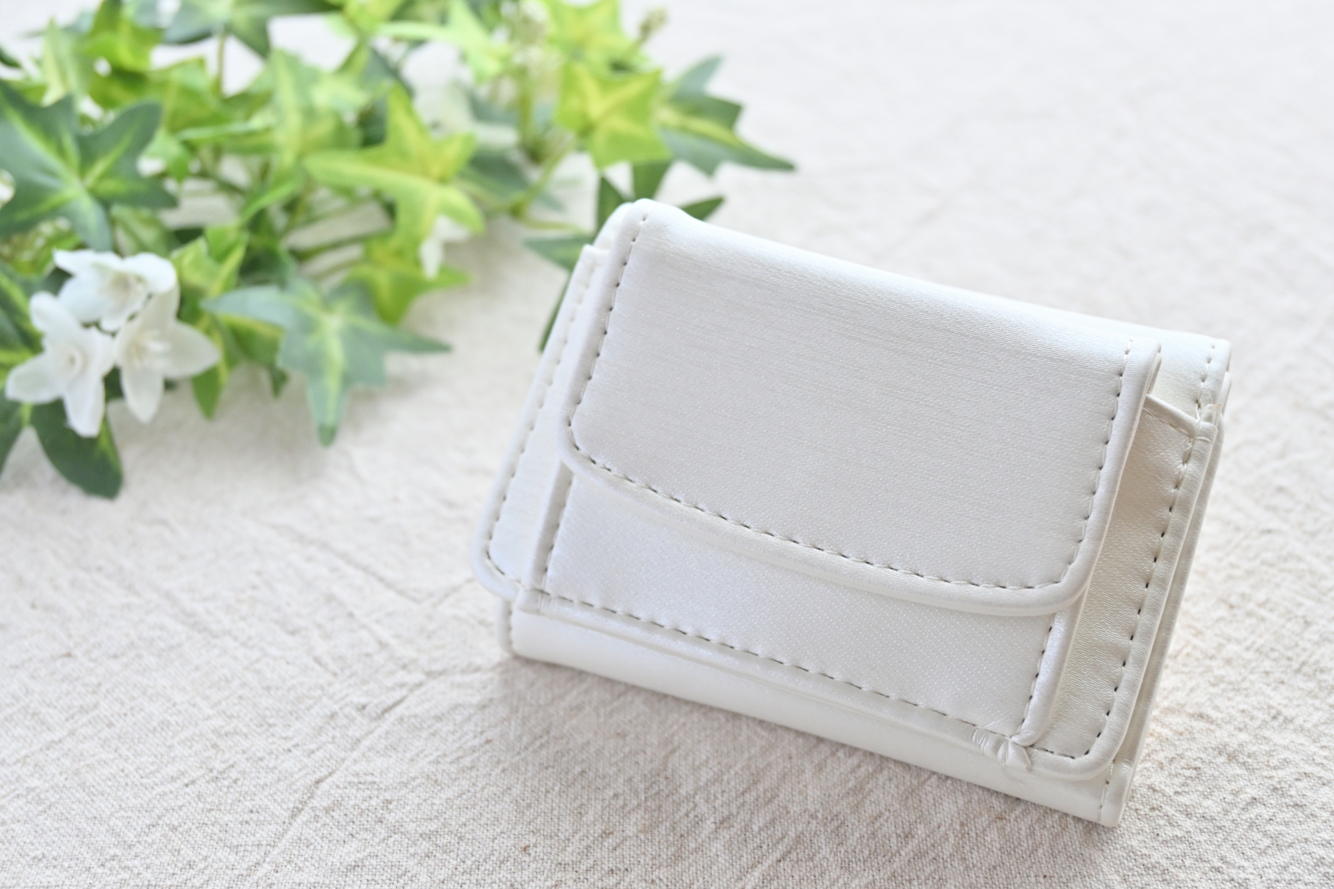 明るい光の中に置かれた白い財布とグリーンの背景。整った暮らしと運気アップをイメージした写真