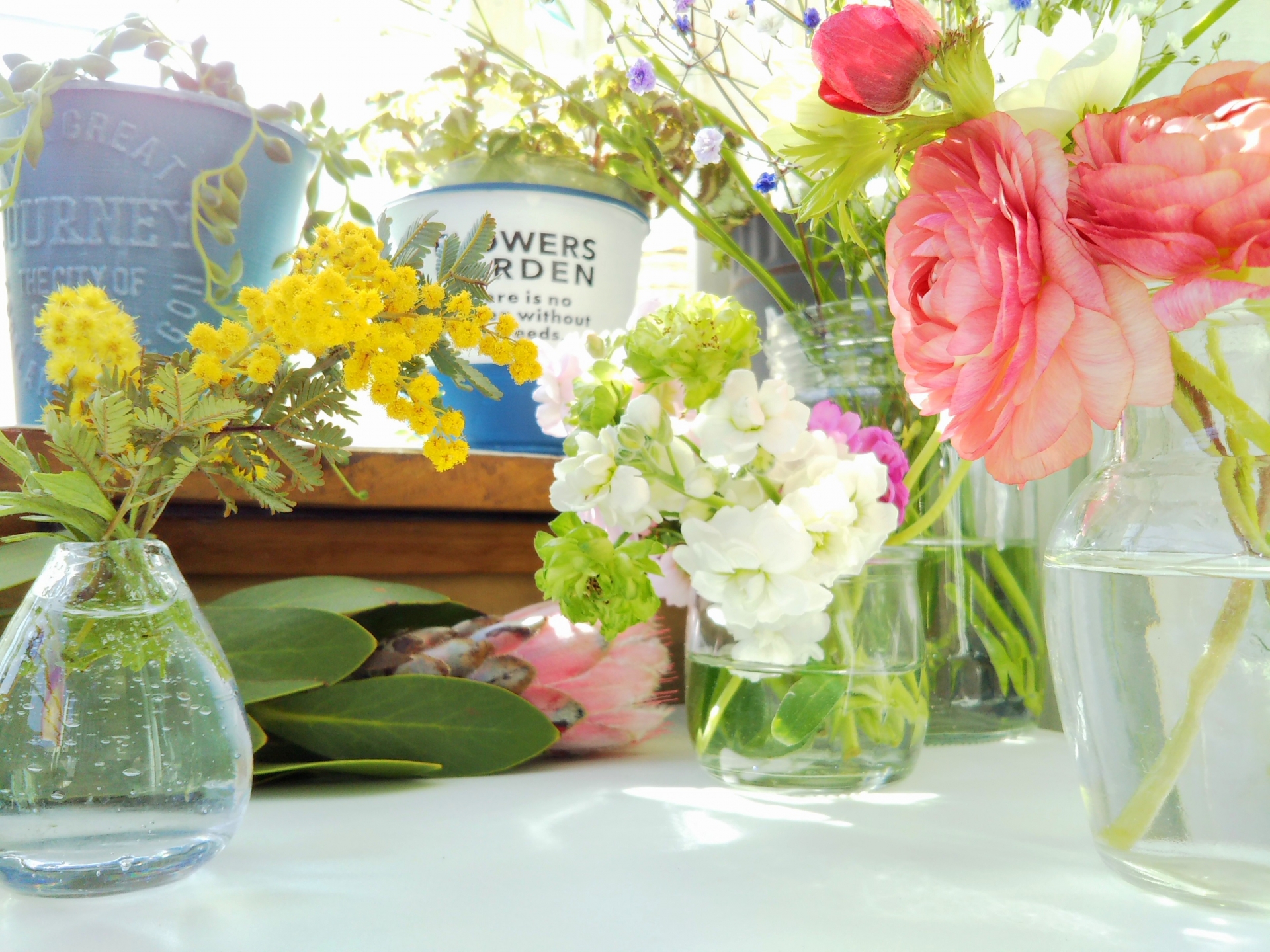 香りと色のエネルギーで幸せを引き寄せるイメージ写真