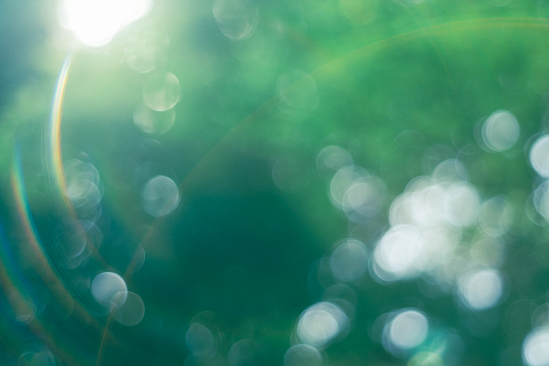 木漏れ日の柔らかい光が広がる風景。気を遣いすぎて疲れた心をそっと整えるイメージ