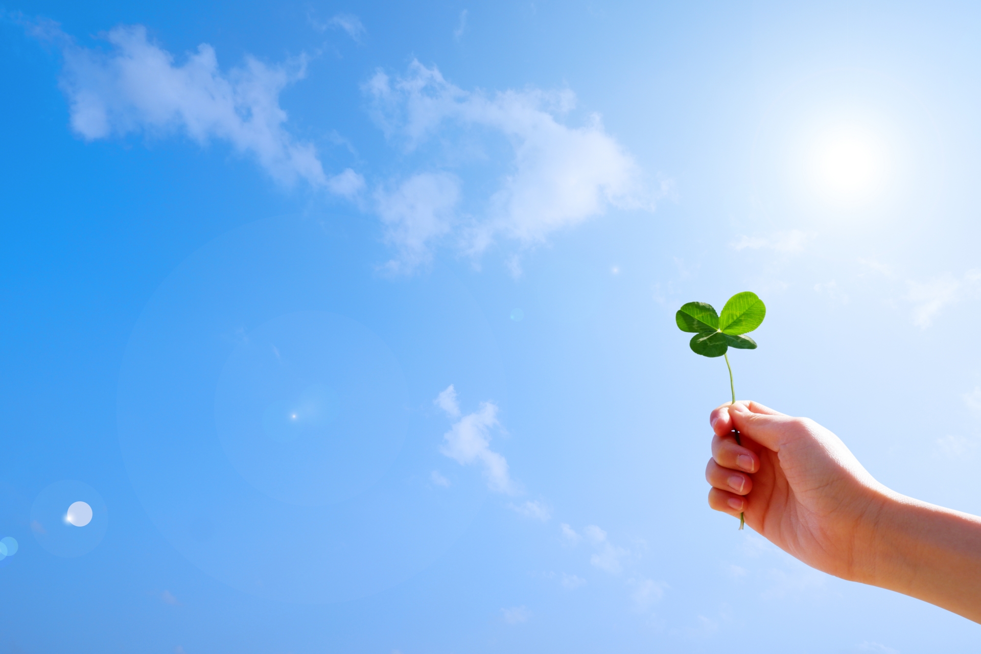 青空の下で四つ葉のクローバーを手に持つ写真。幸運や前向きなエネルギーを象徴するイメージ