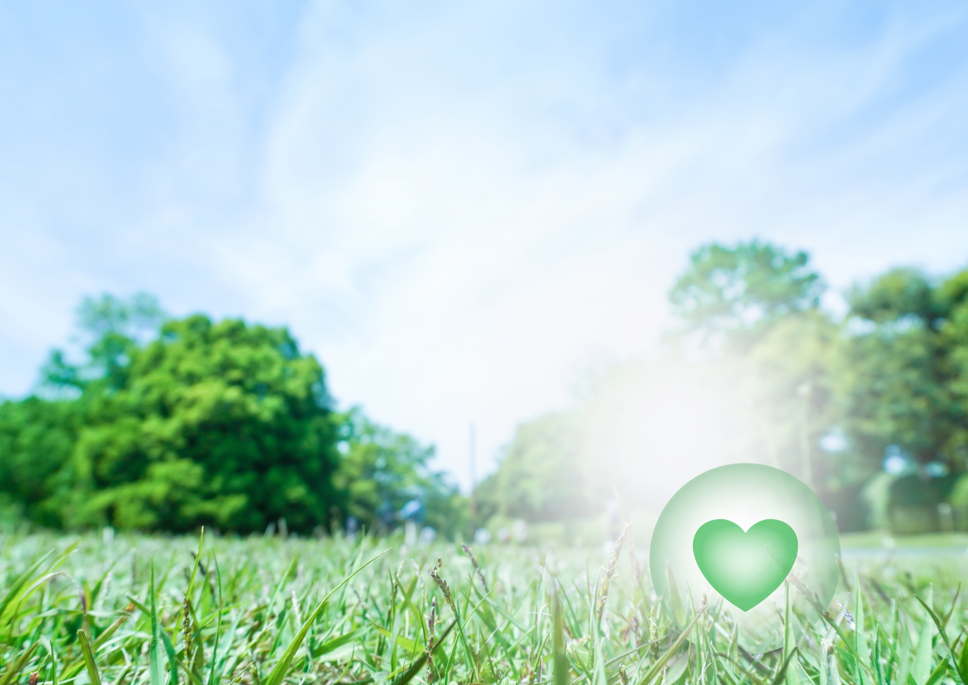 緑の芝生と柔らかい光の中に、グリーンのハートが描かれた写真。心を穏やかに整えるイメージ
