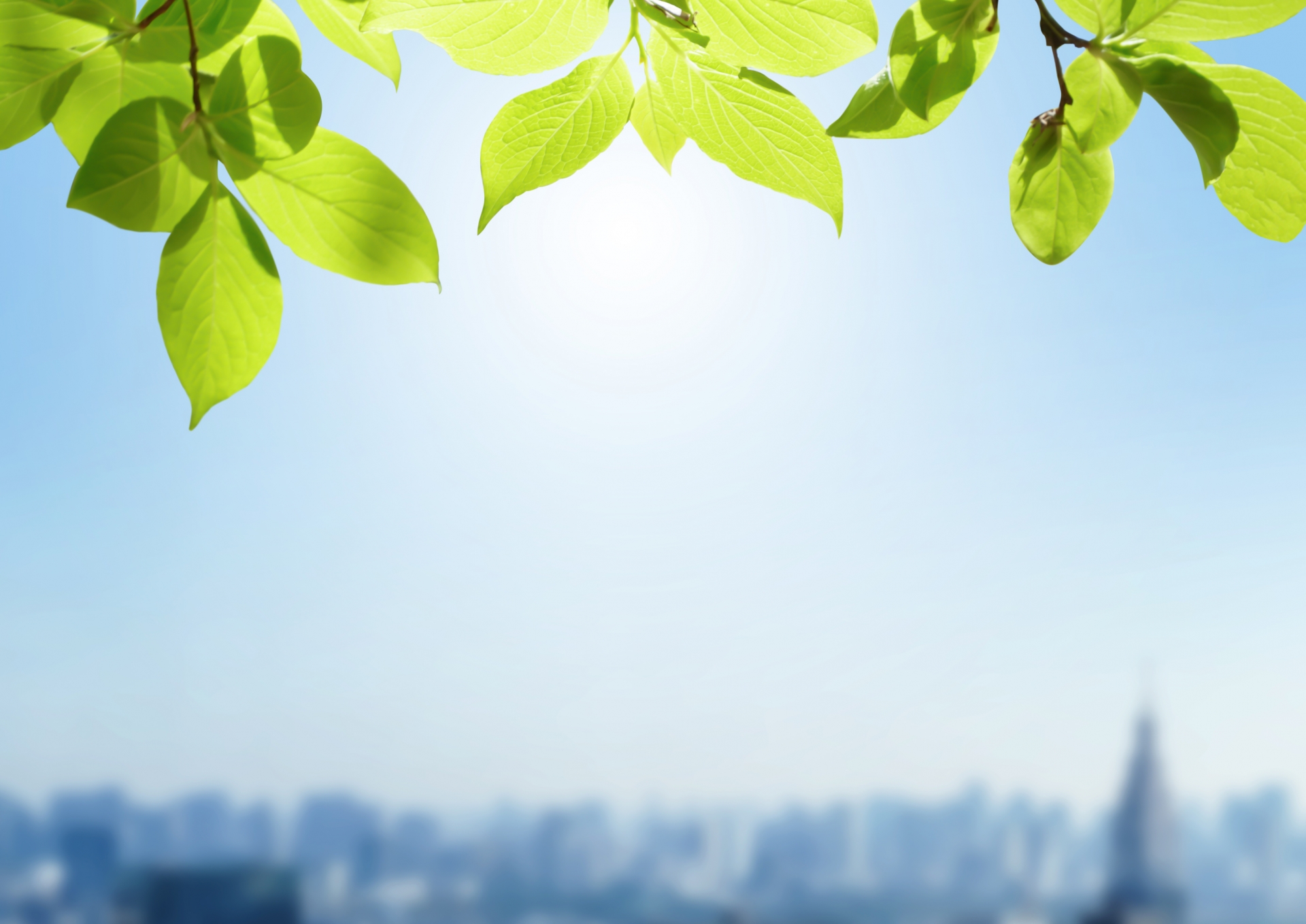 柔らかい光の中に広がる新緑の葉がそよぐ優しい写真。心が軽くなり、気持ちが落ち着く印象のイメージ。