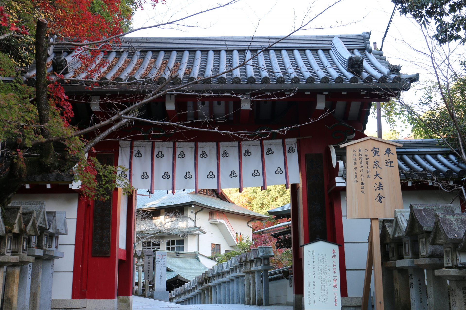 2026年の金運神社で参拝前後に気をつけたいポイントを伝える神社の鳥居と社殿